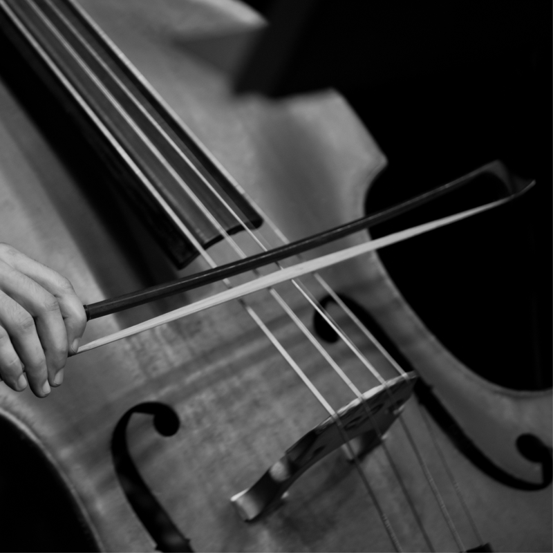 Default doublebass thumbnail