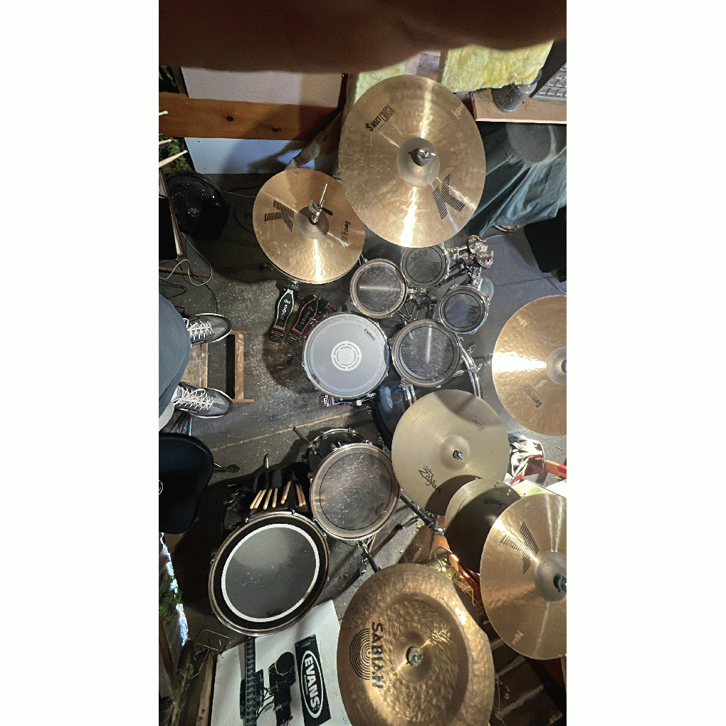 Alexandeerdrummer full image