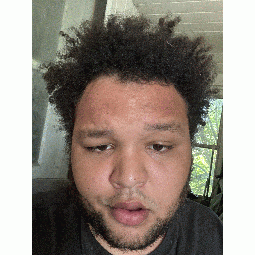 Angerinc19 full image