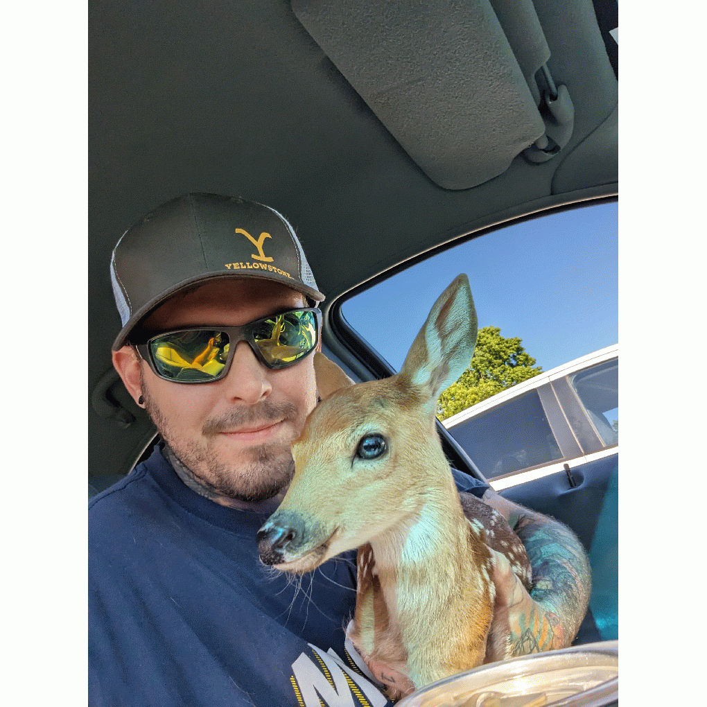 BHammelMusic full image