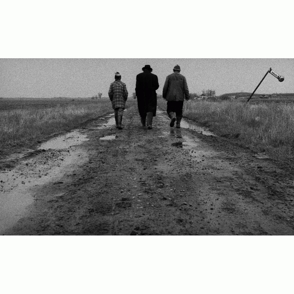 BobHowler full image