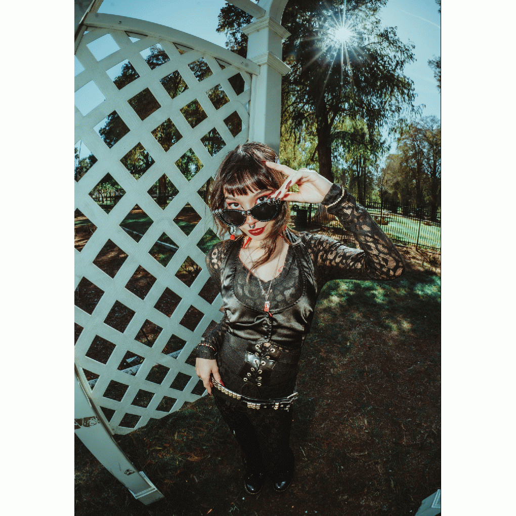 Die-Sonne full image