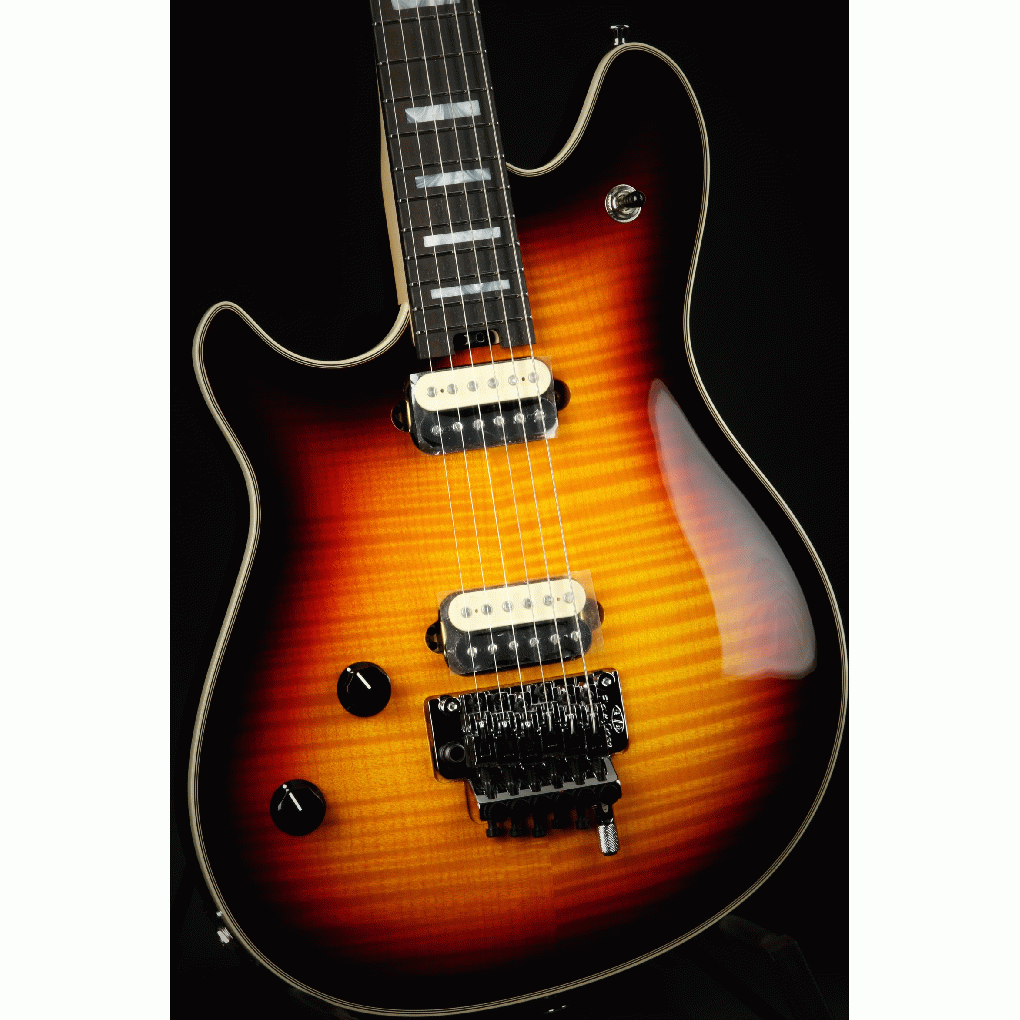 EVH515OIIIGuy full image