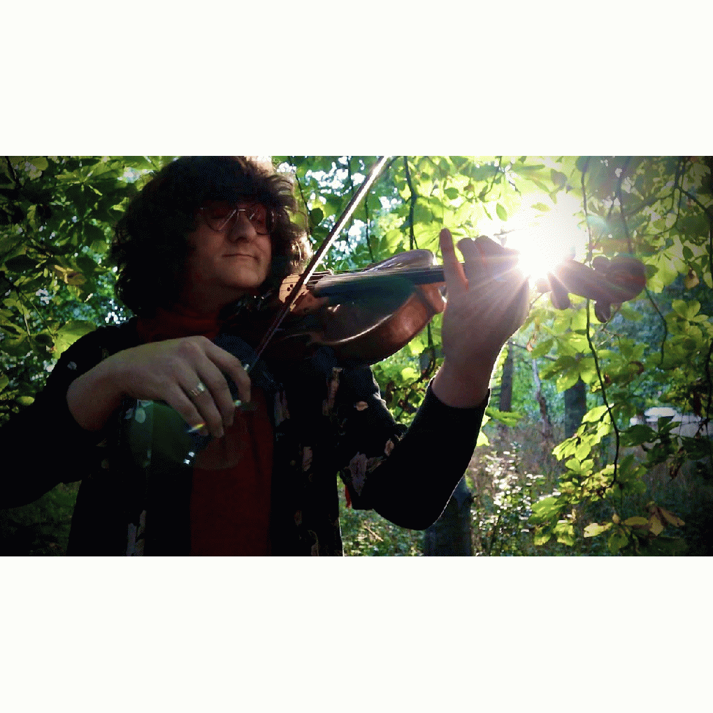 ElliotViola full image