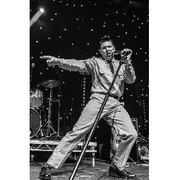Elvis56Tribute full image