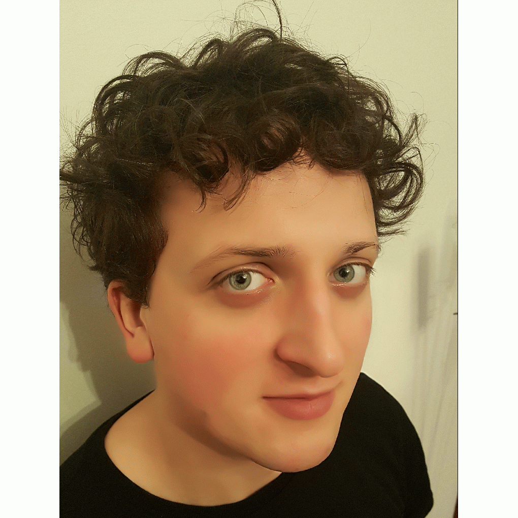 Flipp3r full image