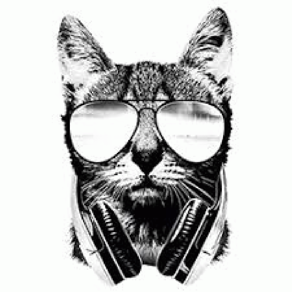 Funkystudiocat full image