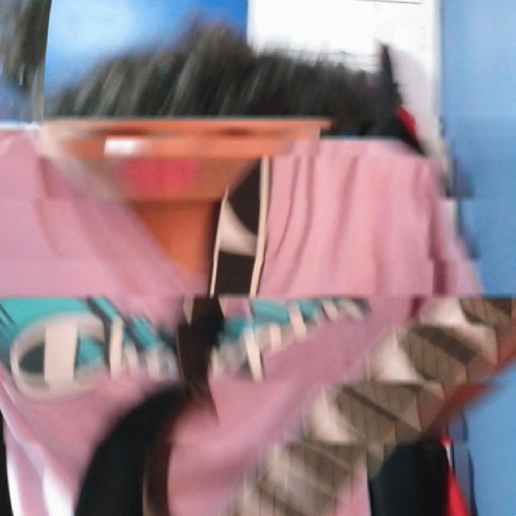 LoozerNird full image