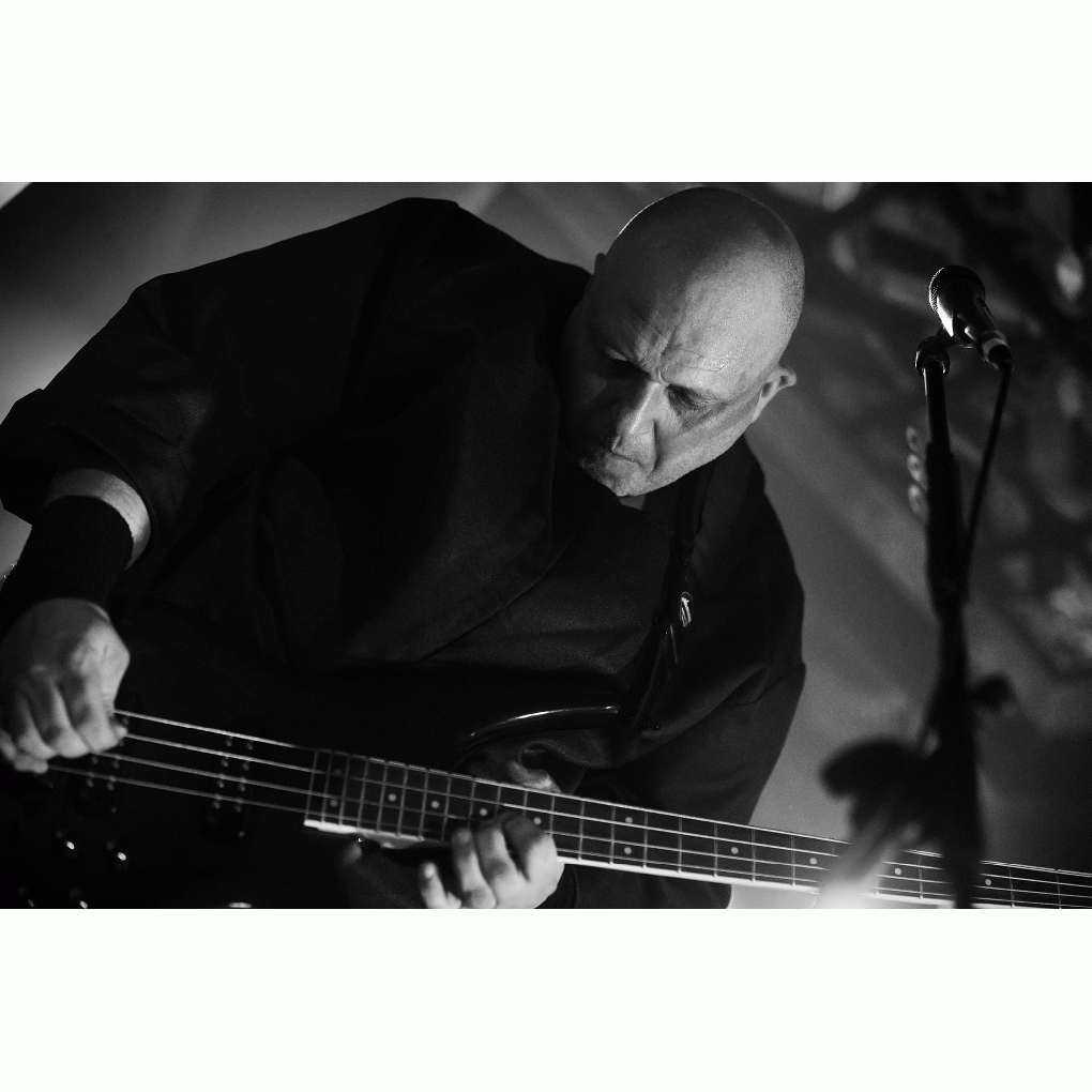 Monkeyboycc full image