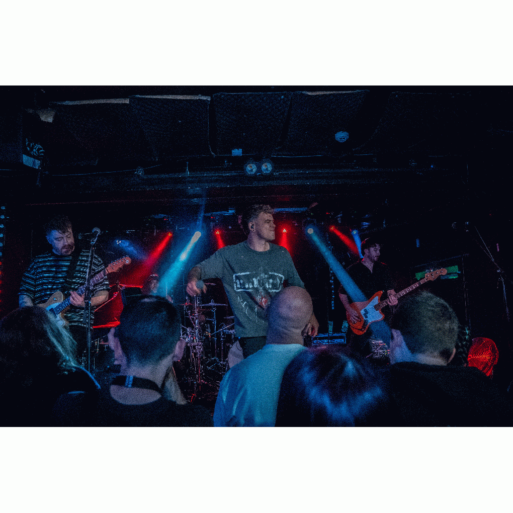 SamFOXHAUNT full image