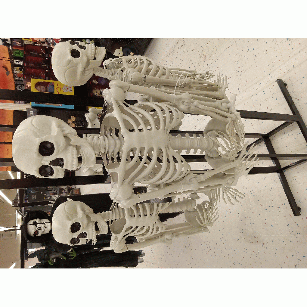 Spooky2 full image