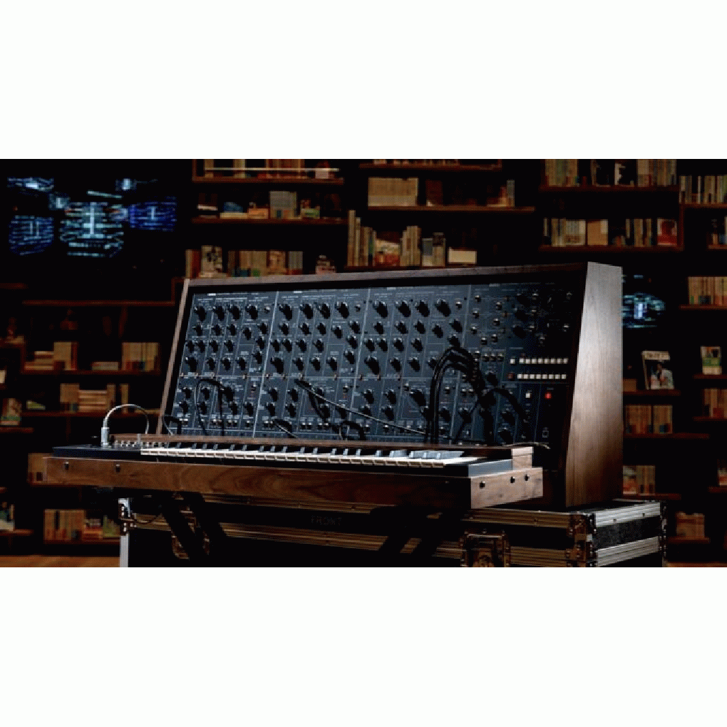 Steve_Miles full image