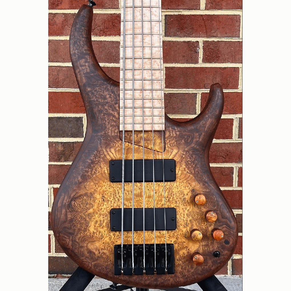 glongfunk1 full image