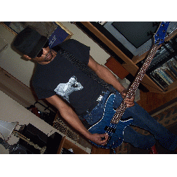 noctik full image