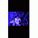 AsherPavlik thumbnail 1 