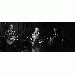 Bisto123 thumbnail 1 