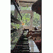 BryanJams thumbnail 1 