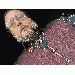 Finley thumbnail 1 