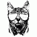 Funkystudiocat thumbnail 1 