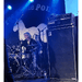 GARYPELL thumbnail 1 