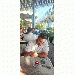 Goncalo thumbnail 1 