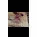 GoodMorningAmaris thumbnail 1 