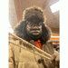 Hfrimpong18 thumbnail 1 