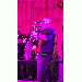 JR_SegerSax thumbnail 1 