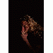 J_Ledbetter thumbnail 3 