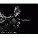 KevinBTurner66 thumbnail 1 