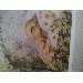 Mikeromeo thumbnail 1 