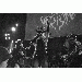 Nocturneband thumbnail 1 