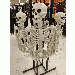 Spooky2 thumbnail 1 