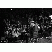 Steve_utility_Benson thumbnail 1 
