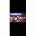 Wildflower_Whiskey_Band thumbnail 1 