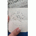dont_die_wandering thumbnail 1 