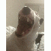 mrtbearable thumbnail 1 