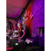 oliviaroseredhead thumbnail 1 