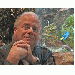 sjcmsearch thumbnail 1 