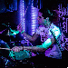 yousefshami thumbnail 1 
